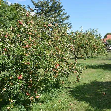 Orchard Lodge-2